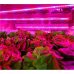 120 cm - LED GROW trubica pre rast rastlín, 18W, plné spektrum slabo-ružová